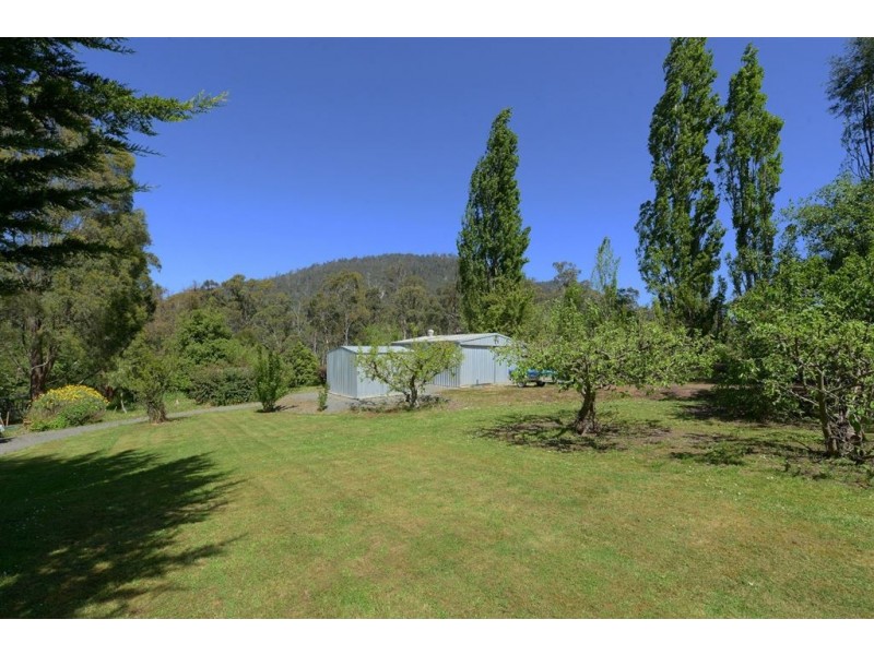 155 Lonnavale Road, Judbury TAS 7109