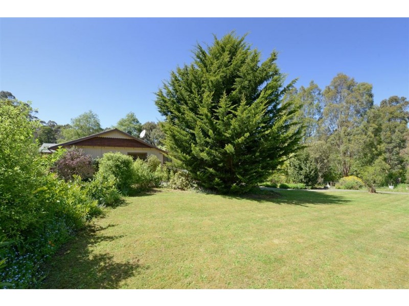 155 Lonnavale Road, Judbury TAS 7109