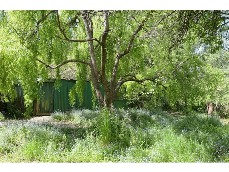 155 Lonnavale Road, Judbury TAS 7109