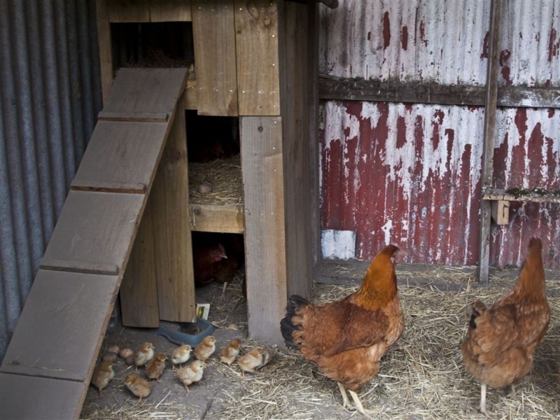 510 She Oak Road, Judbury TAS 7109