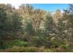 188 Bermuda Road, Glen Huon TAS 7109