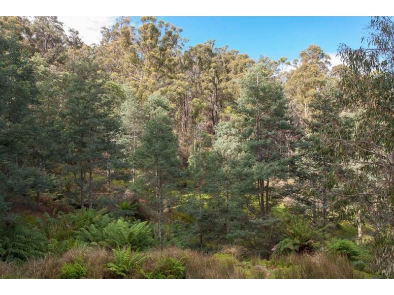 188 Bermuda Road, Glen Huon TAS 7109