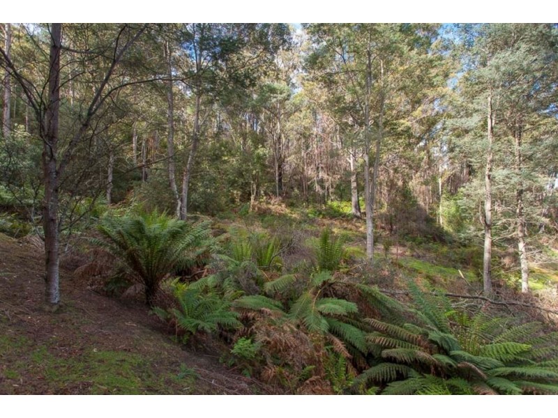 188 Bermuda Road, Glen Huon TAS 7109