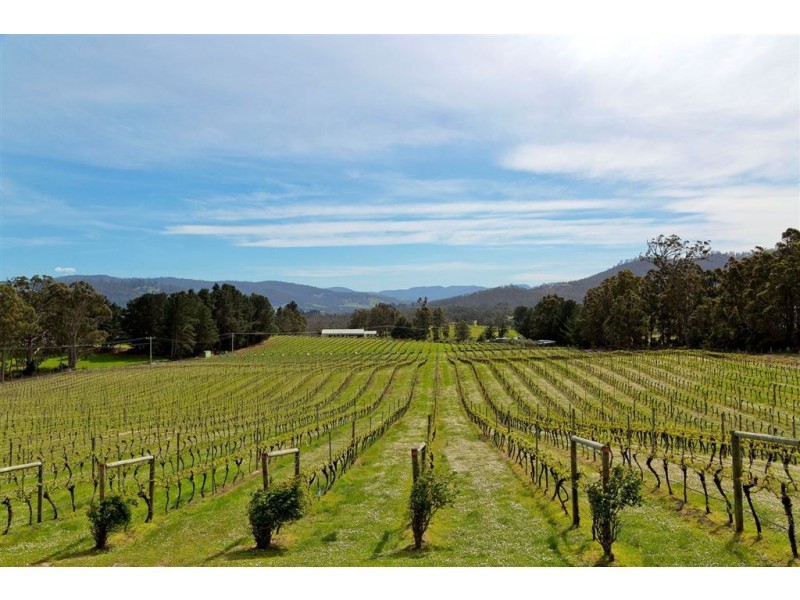 1848 Cygnet Coast Road, Cradoc TAS 7109