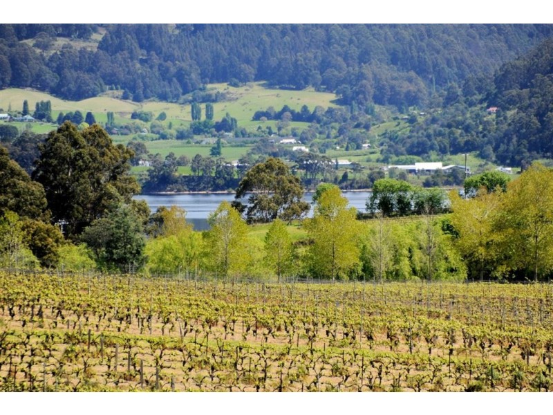 584 Silver Hill Road, Glaziers Bay TAS 7109