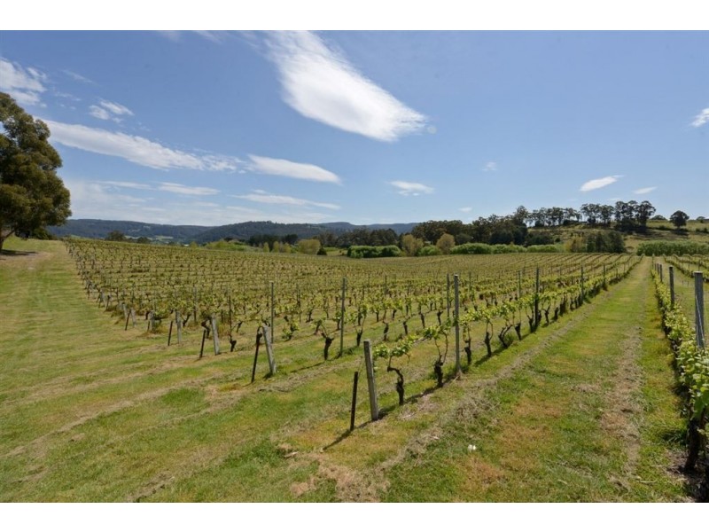 584 Silver Hill Road, Glaziers Bay TAS 7109