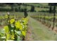 584 Silver Hill Road, Glaziers Bay TAS 7109