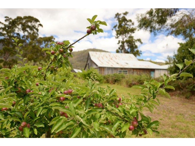 13 Gardenia Drive, Huonville TAS 7109
