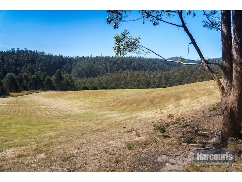 Lot 1 Arthurs Road, Pelverata TAS 7150