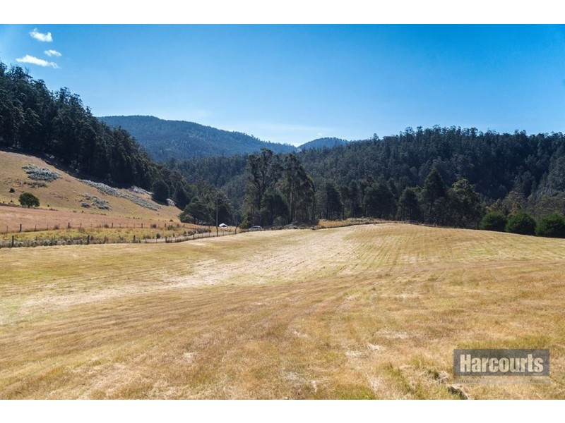 Lot 1 Arthurs Road, Pelverata TAS 7150