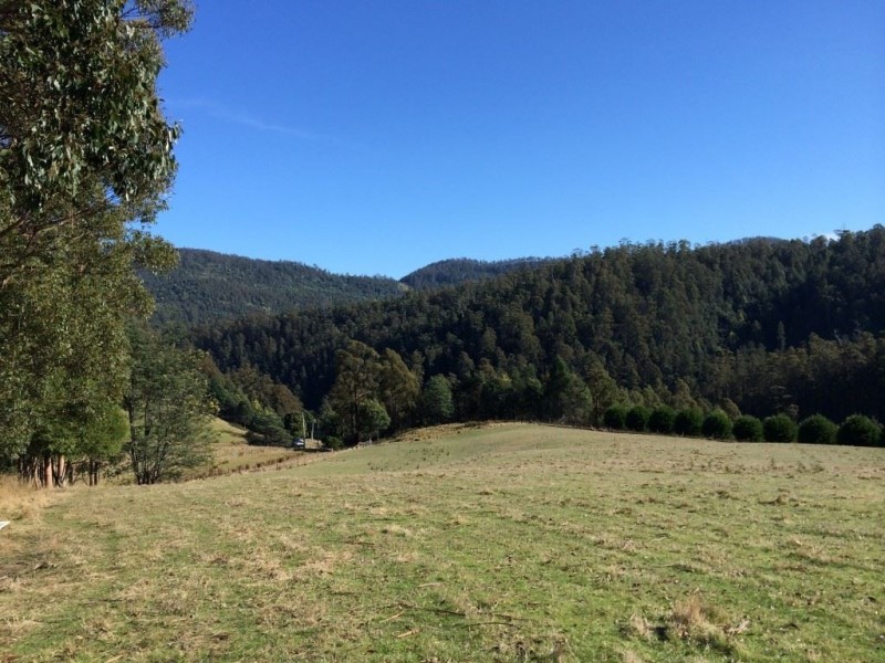 Lot 1 Arthurs Road, Pelverata TAS 7150