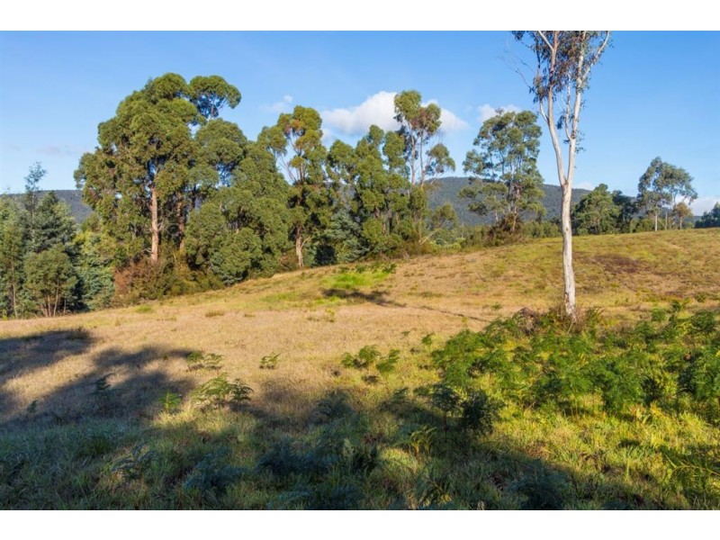 Lot 1 Pottery Road, Dover TAS 7117