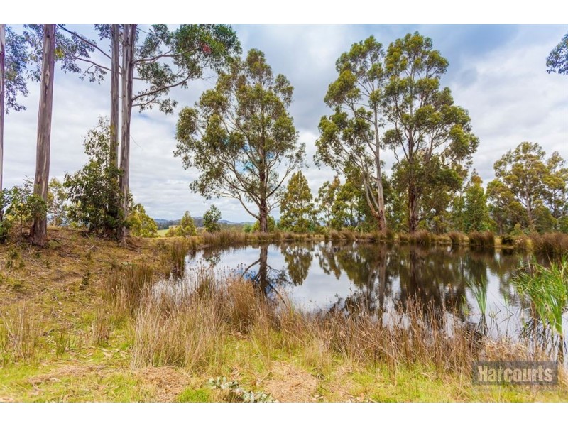 374 Braeside Road, Franklin TAS 7113