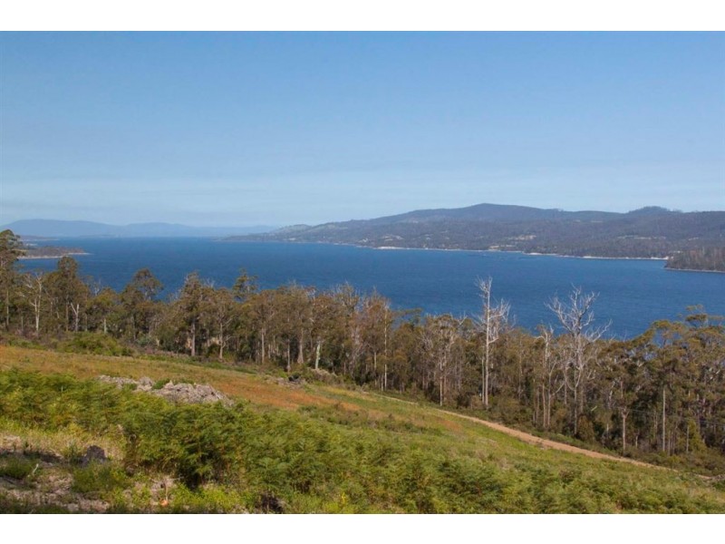 Lot 2 Cygnet Coast Road, Petcheys Bay TAS 7109