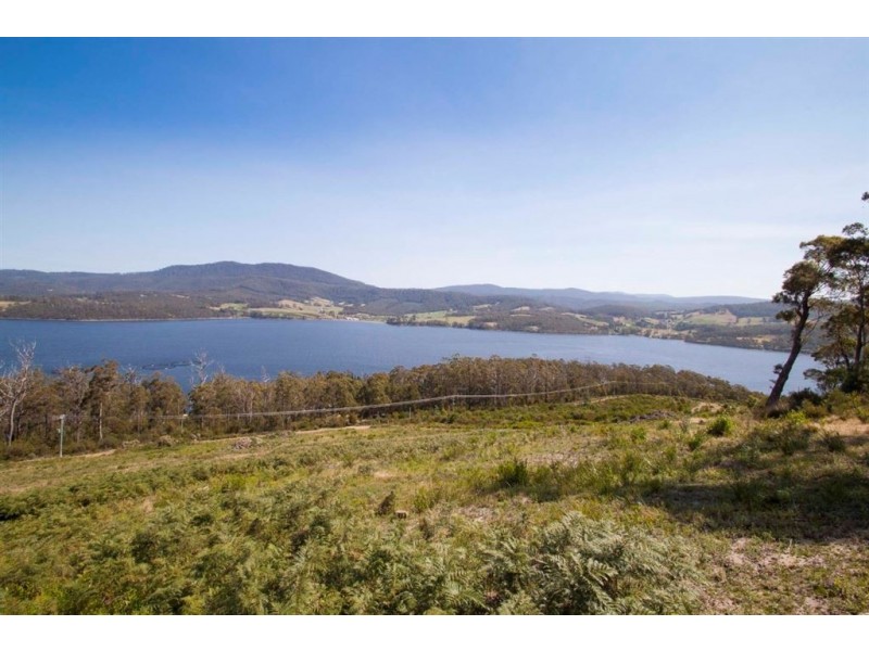 Lot 2 Cygnet Coast Road, Petcheys Bay TAS 7109