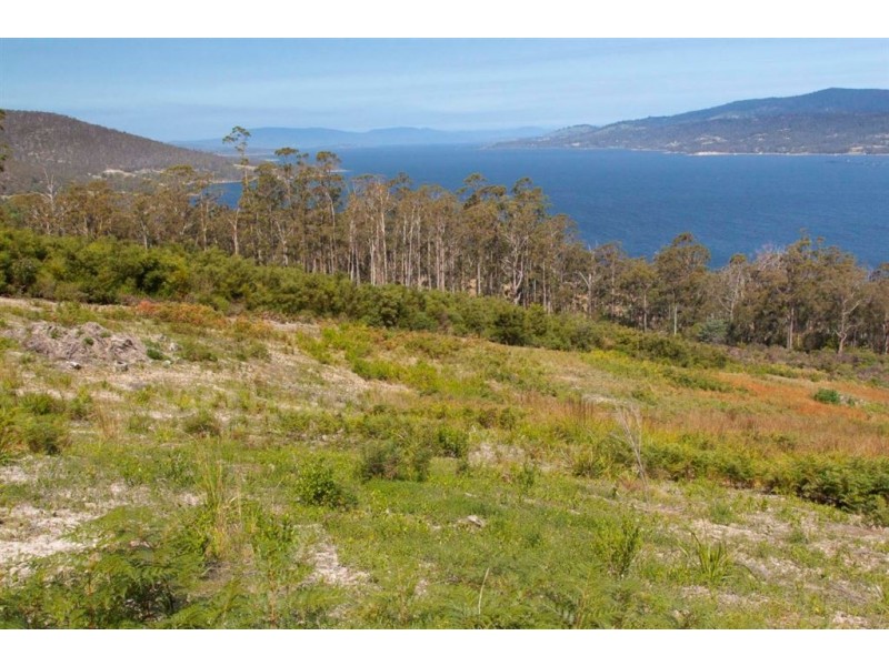 Lot 2 Cygnet Coast Road, Petcheys Bay TAS 7109