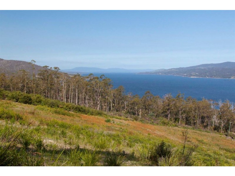 Lot 2 Cygnet Coast Road, Petcheys Bay TAS 7109