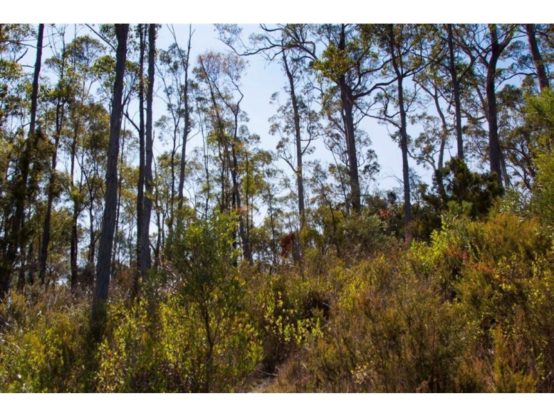 Lot 2 Cygnet Coast Road, Petcheys Bay TAS 7109