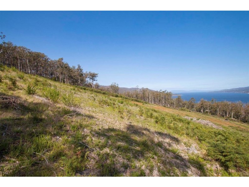 Lot 2 Cygnet Coast Road, Petcheys Bay TAS 7109