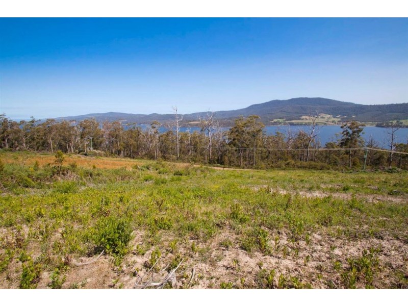 Lot 2 Cygnet Coast Road, Petcheys Bay TAS 7109