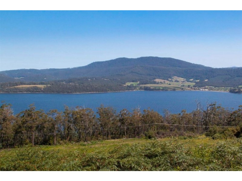 Lot 3 Cygnet Coast Road, Petcheys Bay TAS 7109