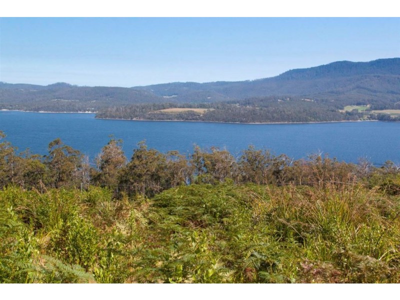 Lot 3 Cygnet Coast Road, Petcheys Bay TAS 7109