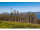 Lot 3 Cygnet Coast Road, Petcheys Bay TAS 7109