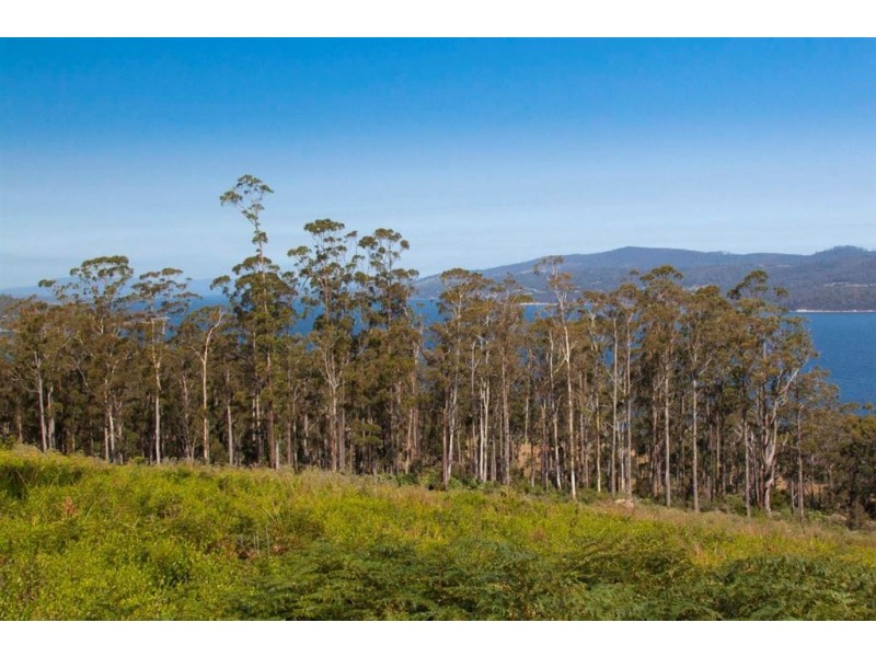 Lot 3 Cygnet Coast Road, Petcheys Bay TAS 7109