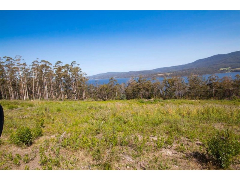 Lot 3 Cygnet Coast Road, Petcheys Bay TAS 7109
