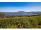 Lot 3 Cygnet Coast Road, Petcheys Bay TAS 7109