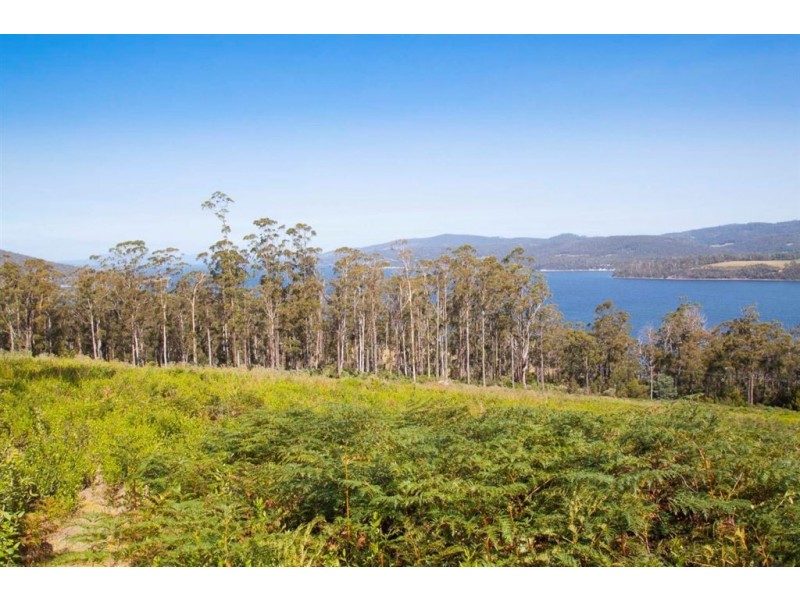 Lot 3 Cygnet Coast Road, Petcheys Bay TAS 7109