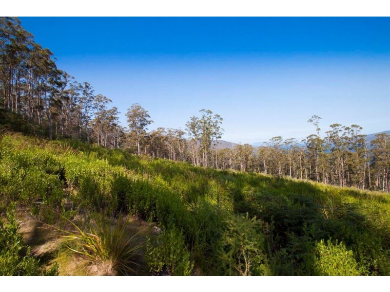 Lot 3 Cygnet Coast Road, Petcheys Bay TAS 7109