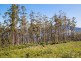 Lot 3 Cygnet Coast Road, Petcheys Bay TAS 7109