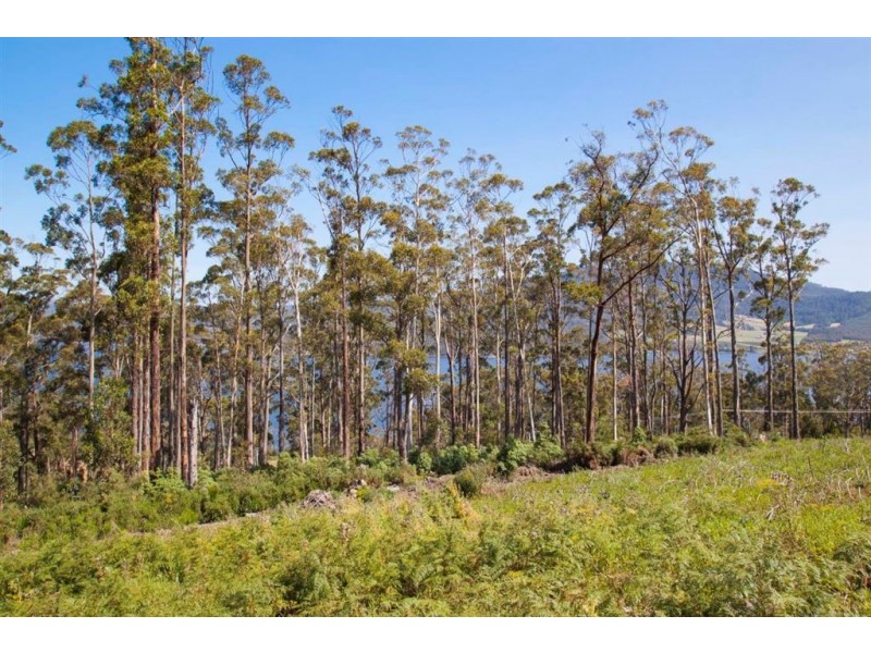 Lot 3 Cygnet Coast Road, Petcheys Bay TAS 7109