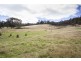 282 Judds Creek Road, Judbury TAS 7109