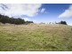 282 Judds Creek Road, Judbury TAS 7109