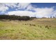 282 Judds Creek Road, Judbury TAS 7109