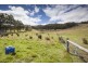282 Judds Creek Road, Judbury TAS 7109