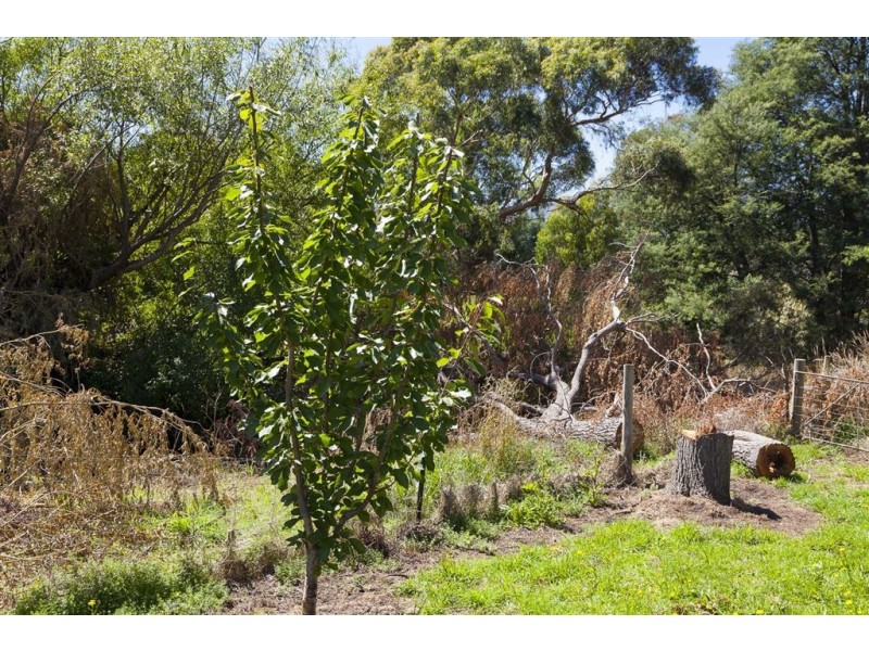 Lot 2 Lucaston Road, Lucaston TAS 7109