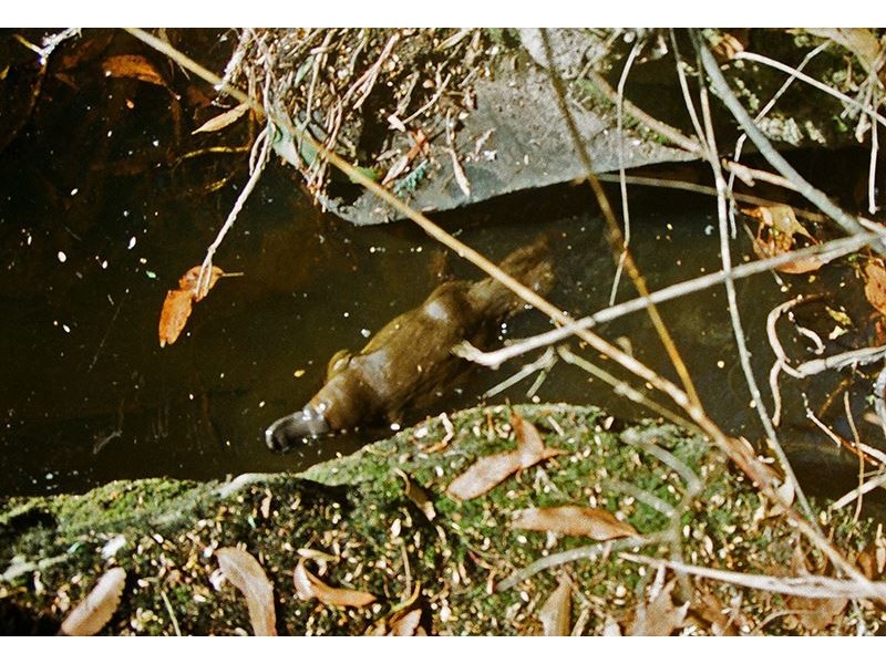 6805 Huon Highway, Dover TAS 7117