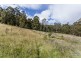 RA Morrisons Road, Huonville TAS 7109