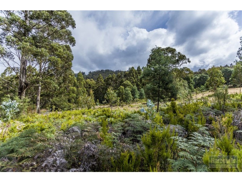 RA Morrisons Road, Huonville TAS 7109