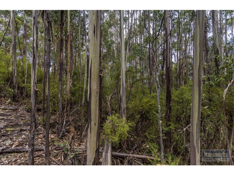 RA Morrisons Road, Huonville TAS 7109