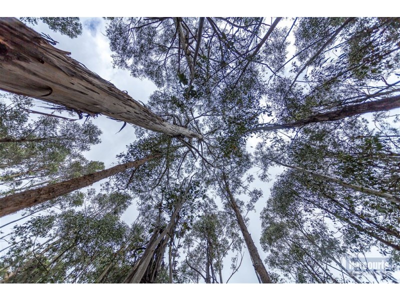 RA Morrisons Road, Huonville TAS 7109