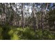 Lot 2 Pillings Road, Cairns Bay TAS 7116