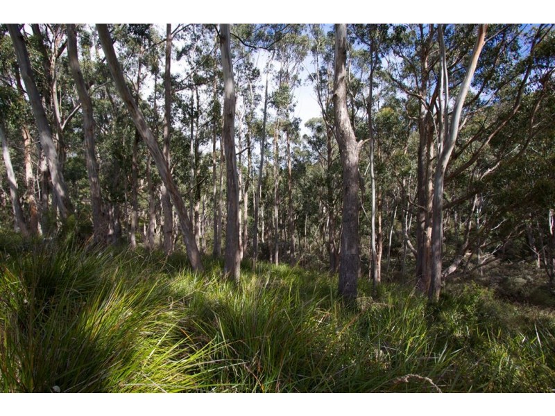 Lot 2 Pillings Road, Cairns Bay TAS 7116