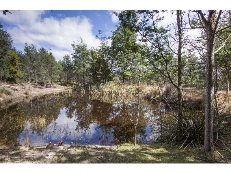 538 She Oak Road, Judbury TAS 7109