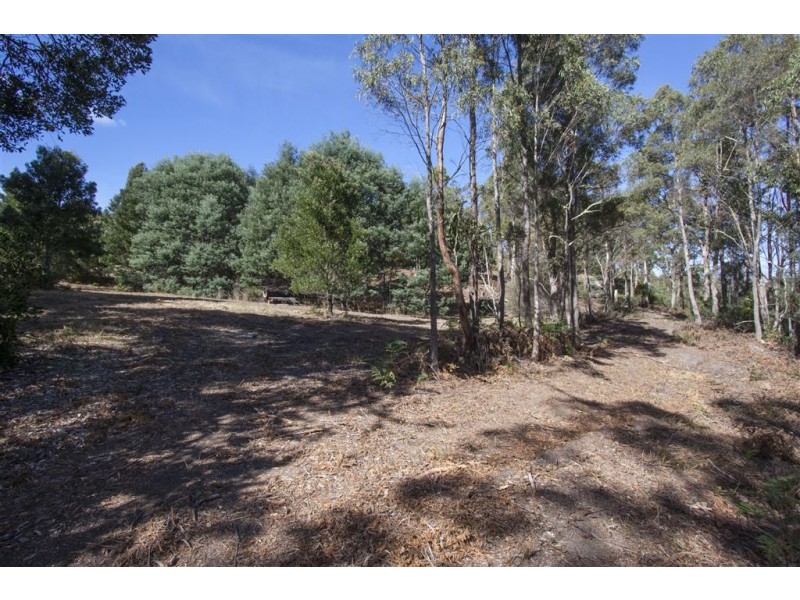 538 She Oak Road, Judbury TAS 7109