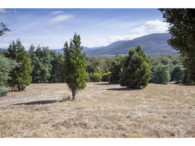 538 She Oak Road, Judbury TAS 7109