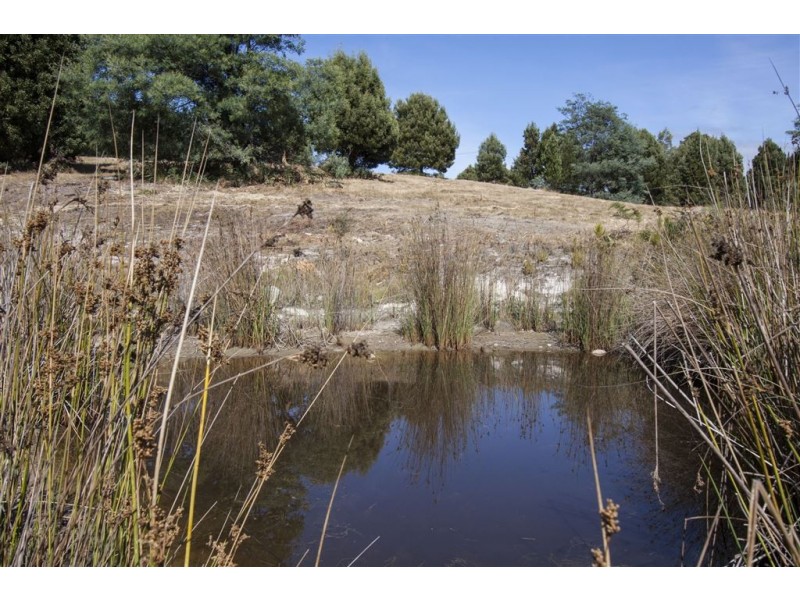 538 She Oak Road, Judbury TAS 7109
